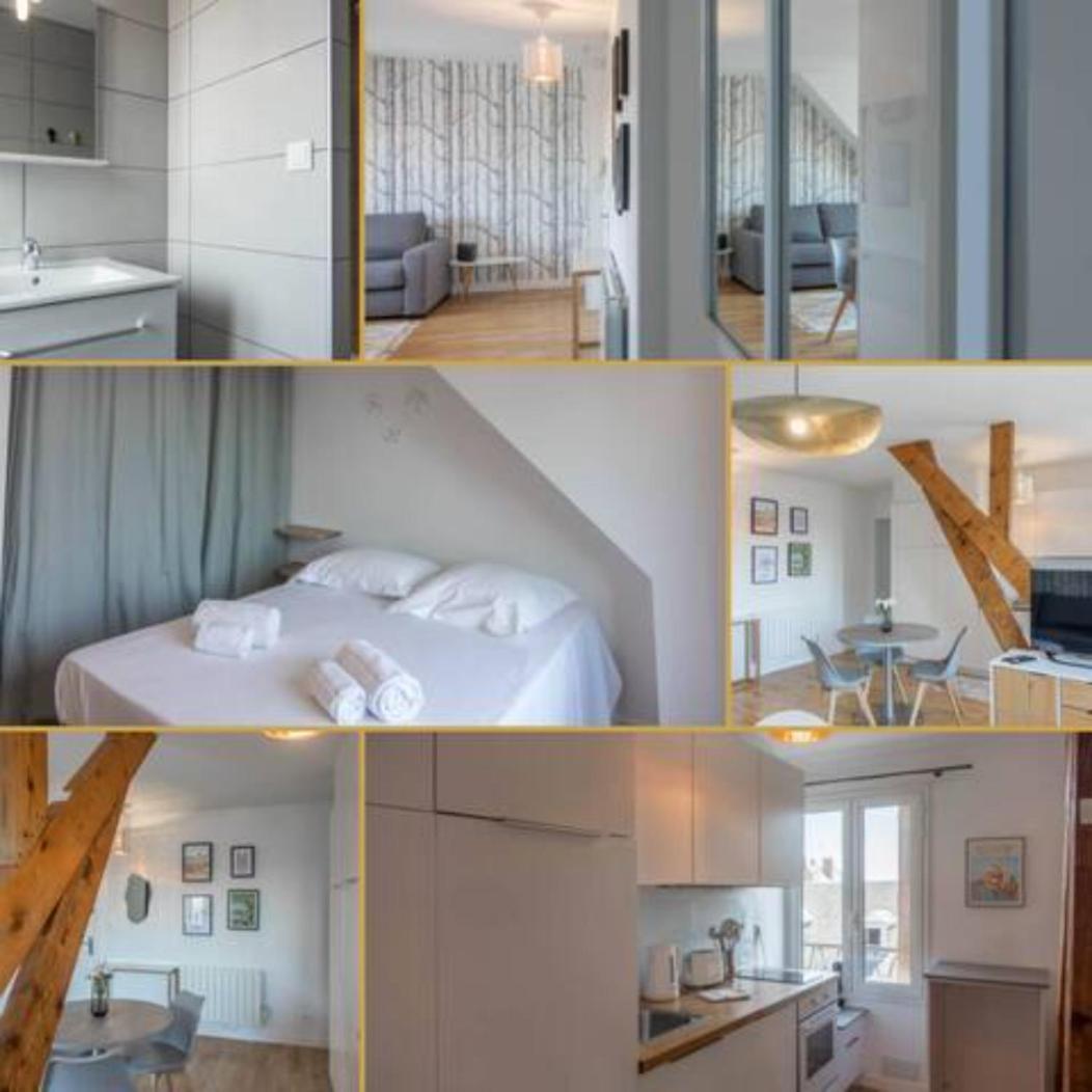 Le Vieux Marche *T2* Lejlighed Orléans Eksteriør billede